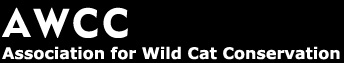 Wildkatzen Artenschutz - AWCC - Association for Wild Cat Conservation